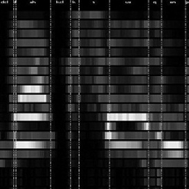 Fuzzy Speech Recognition Mohammad Mahdi Kamani
